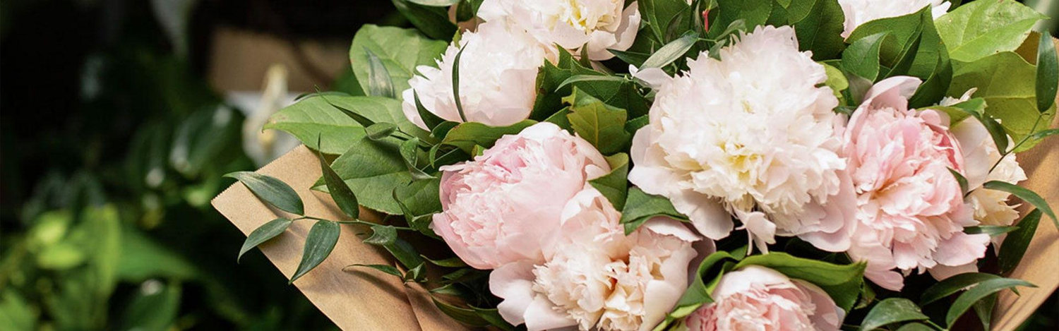 The Wedding Website of Emily McComas and David Szpara