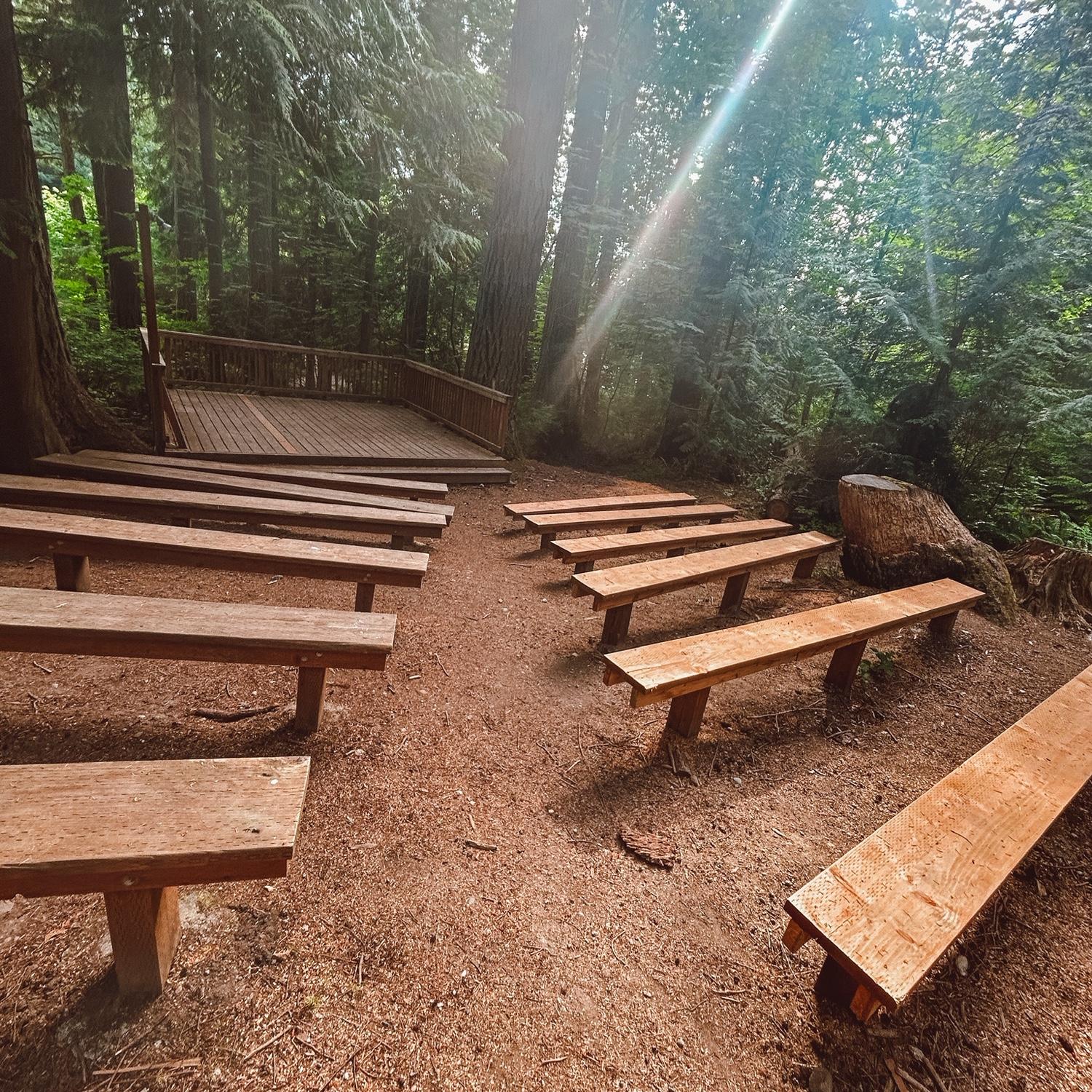 Sneak peak of our ceremony location! 🌲