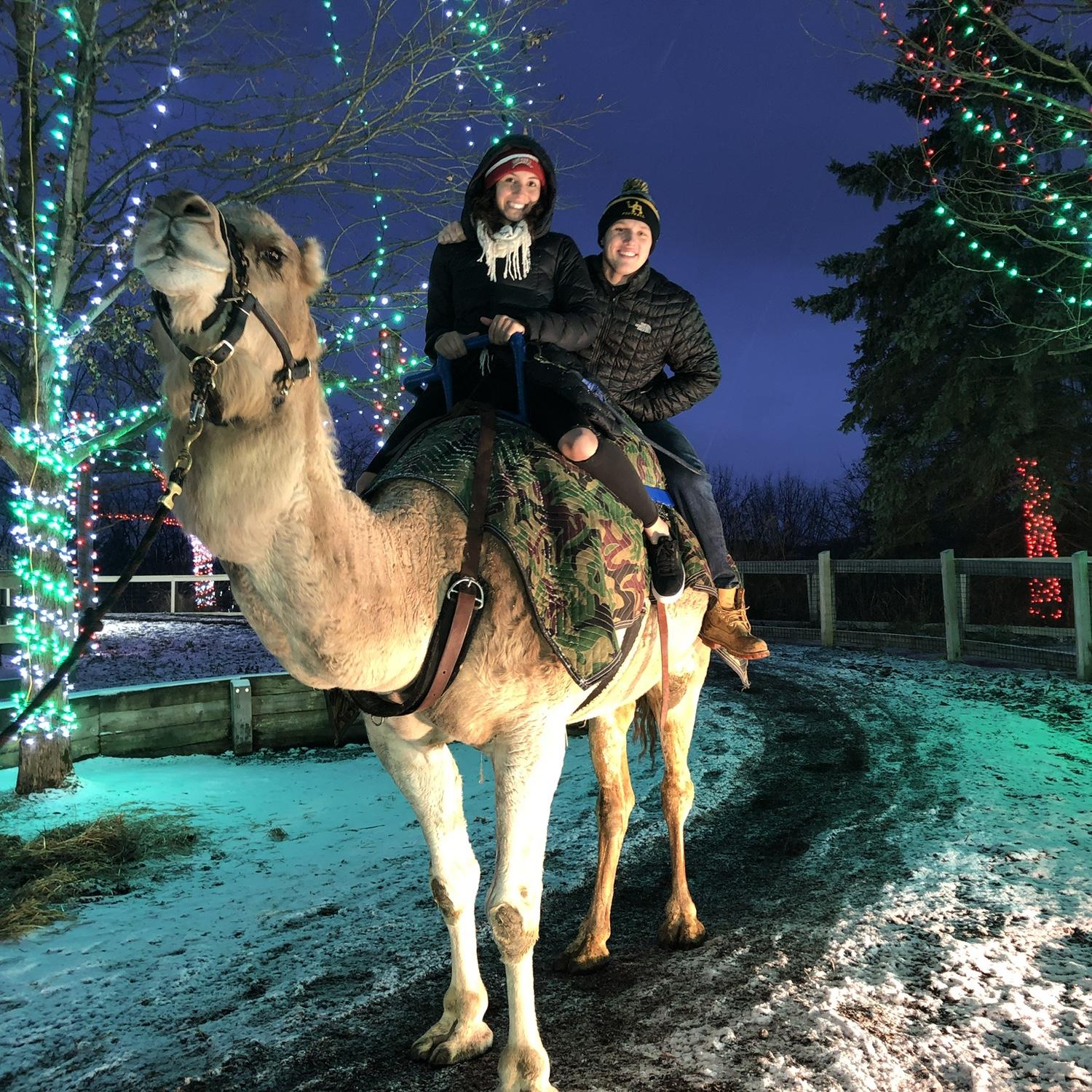 Riding the camel at the Columbus Zoo over the holidays. Highly recommend.
