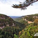 Cloudland Canyon State Park