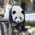 Smithsonian National Zoo