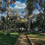 Bosque Cuauhtémoc