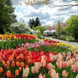 Arboretum