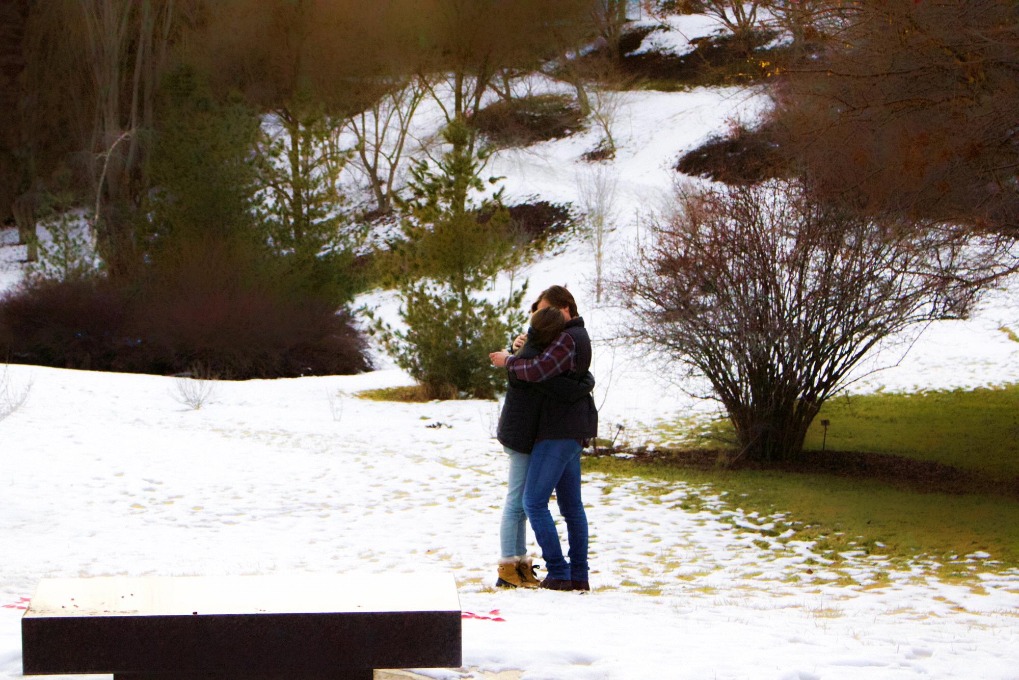 Our Proposal. January of 2019