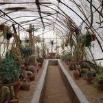 Moorten Botanical Garden