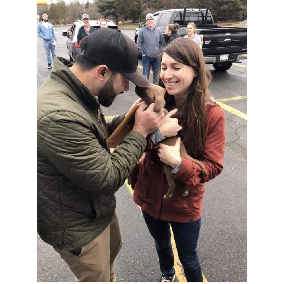 Meeting our newest addition, Cooper, for the first time!