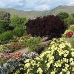 Woodlake Botanical Garden