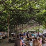 3rd Turn Oldham Gardens