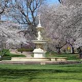 Brandywine Park