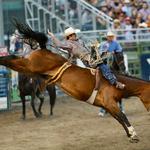 Jackson Hole Rodeo