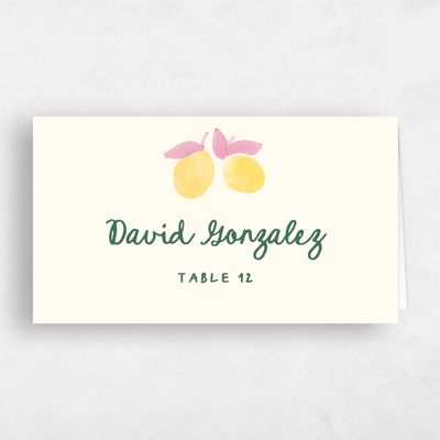 Pink Wedding Place Card - Spiaggia