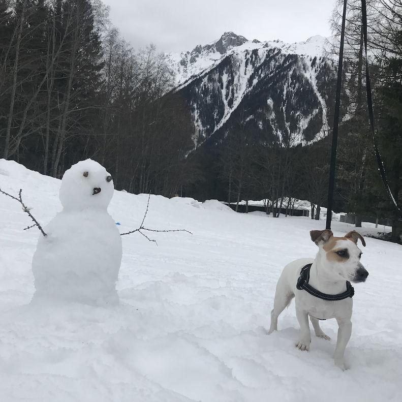 Sismo. and French Olaf - Mont Blanc