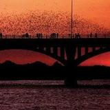 Congress Avenue Bat Bridge