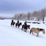 Trail Rides