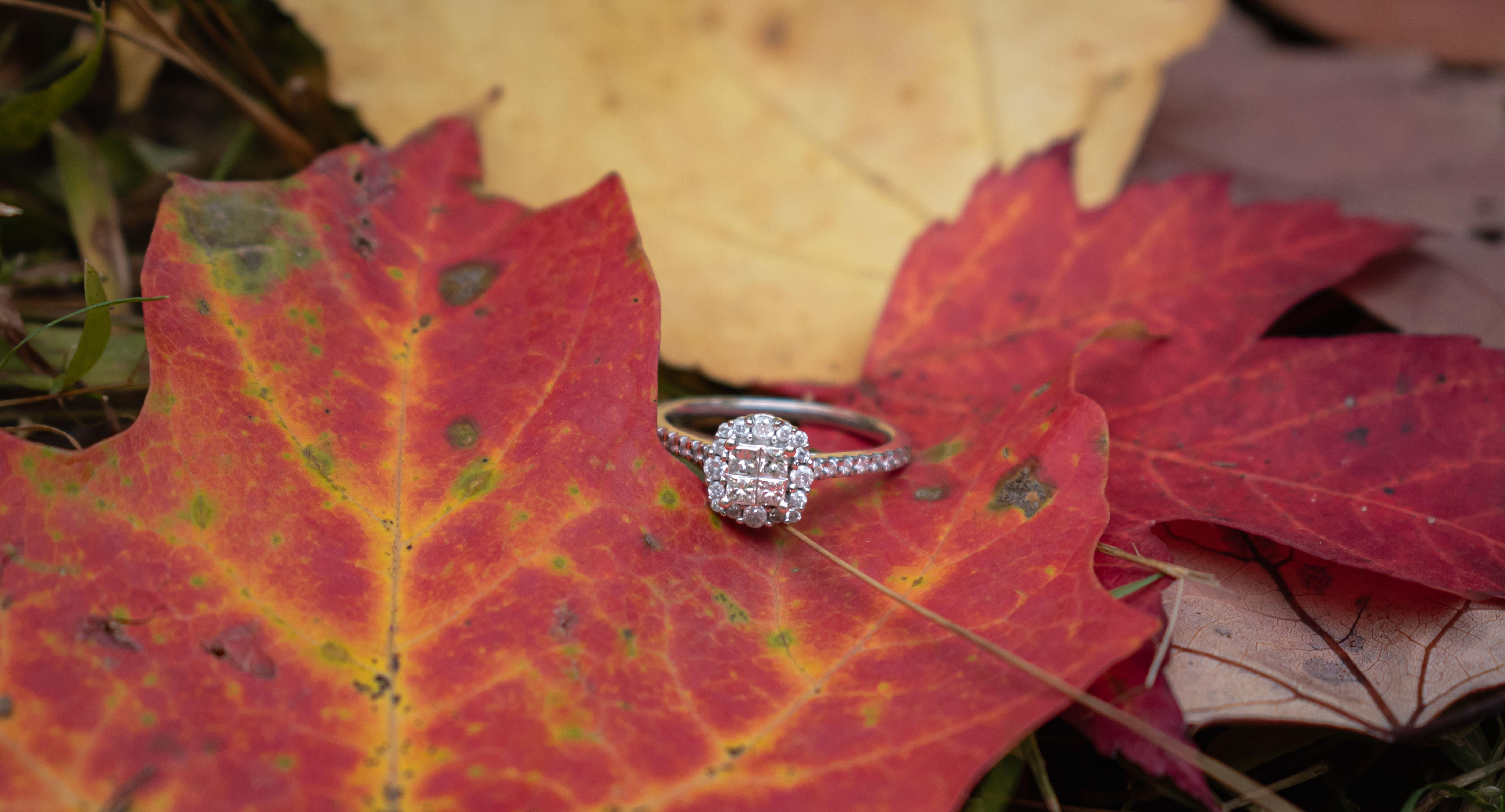 The Wedding Website of Samantha Fairbanks and Alexander Pederson