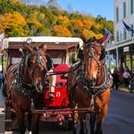 Mackinac Island Carriage Tours