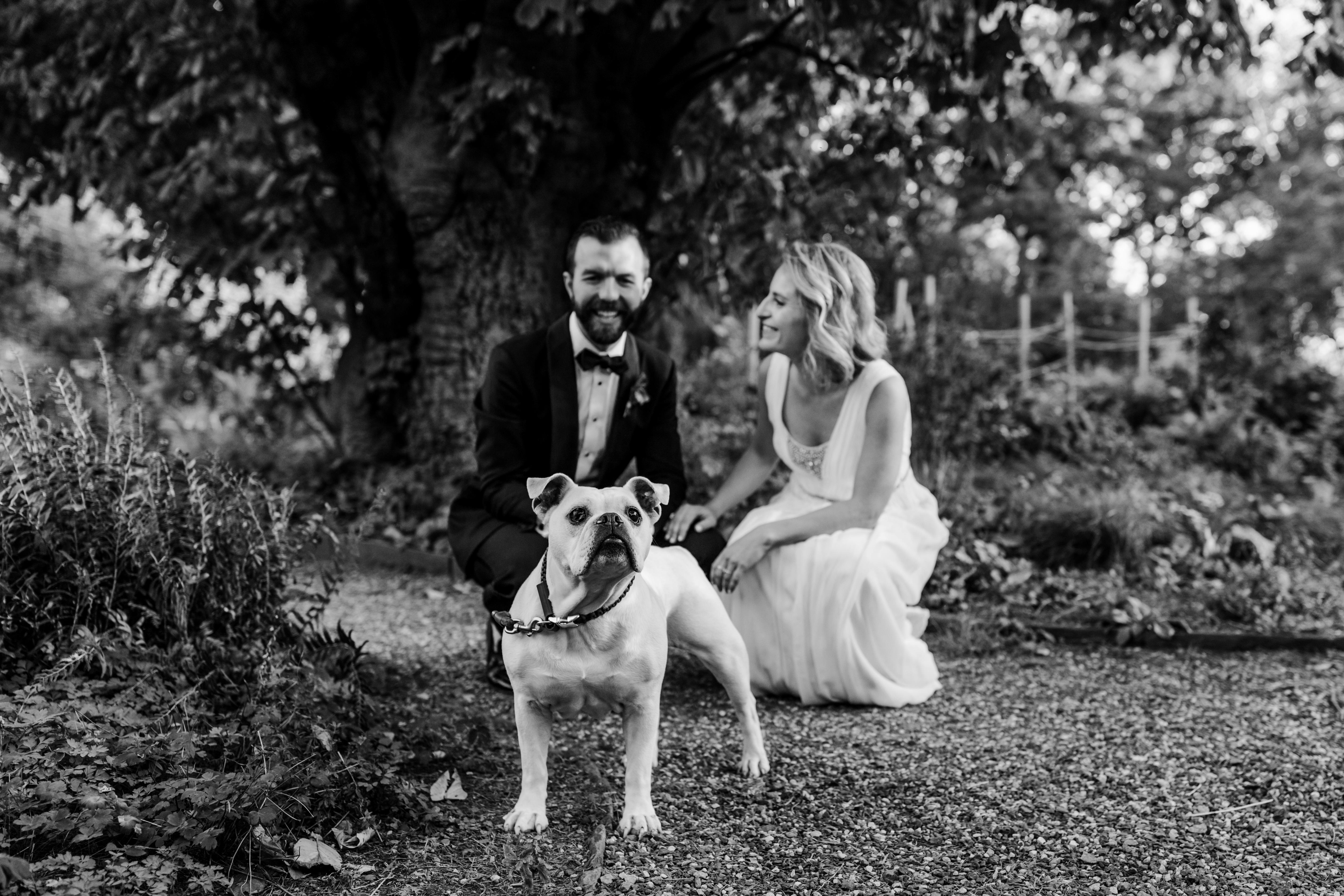 03e515f6-8a91-4c43-bc5a-81d2db36adb7