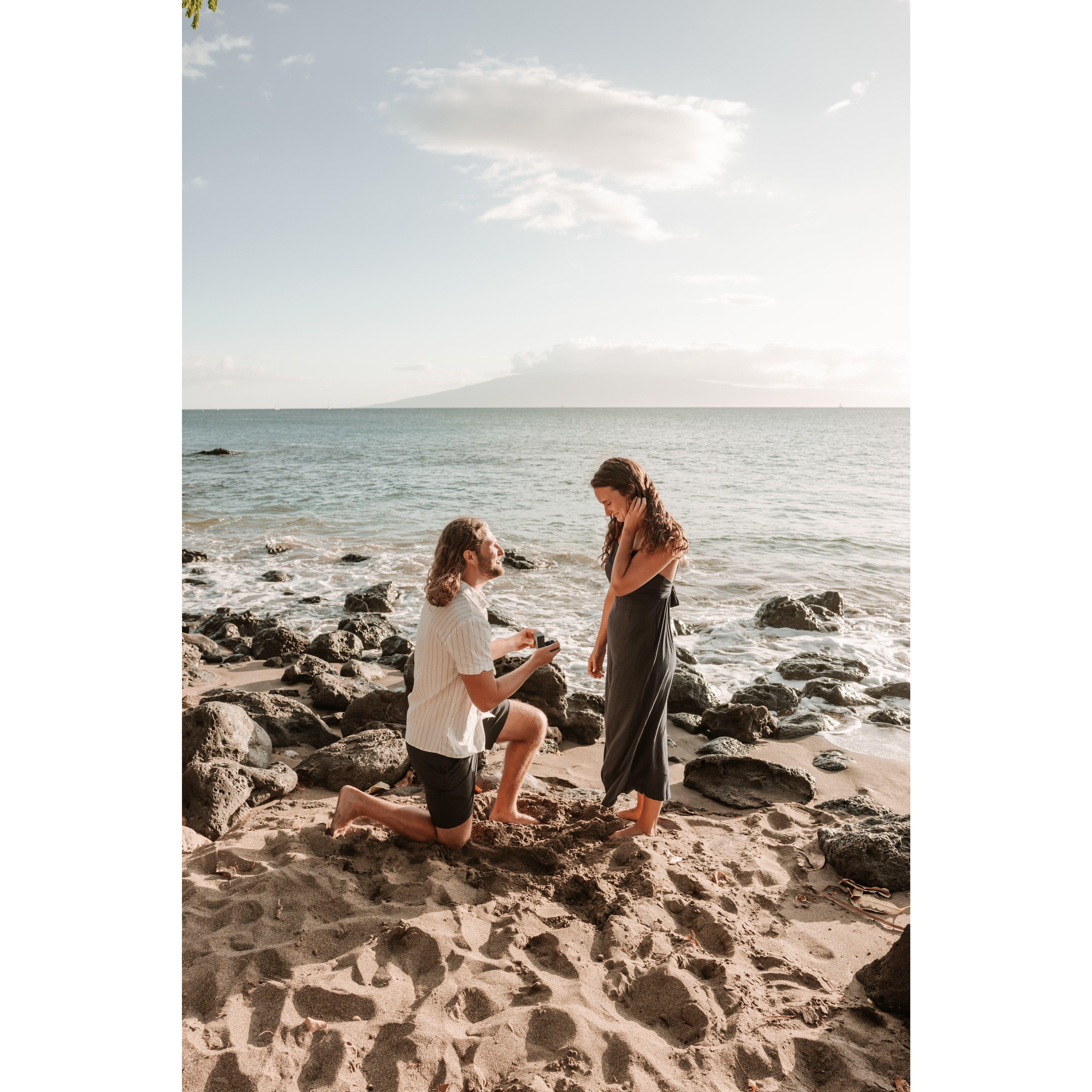 The proposal!