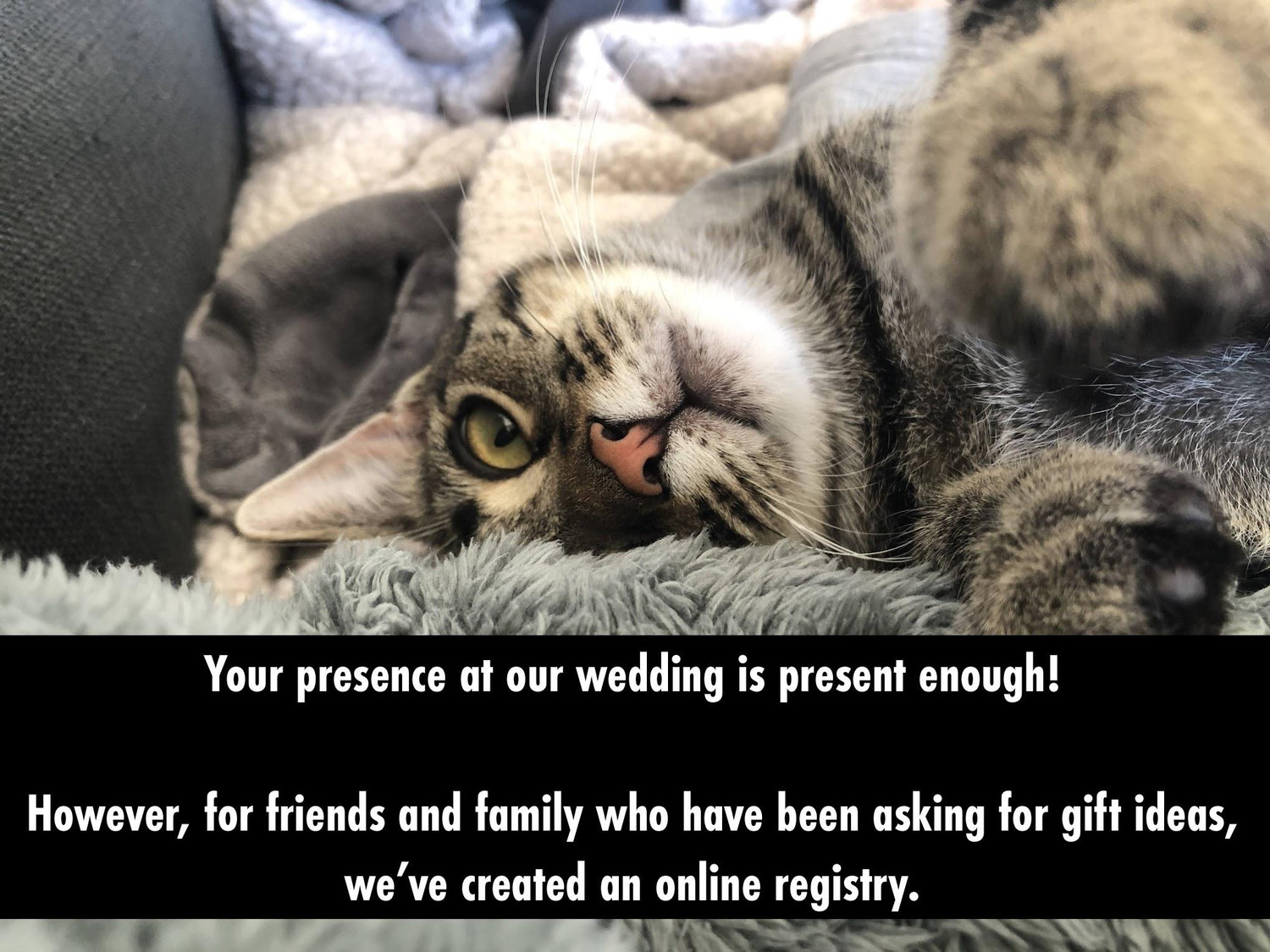03e8de20-4db2-4f9f-bfe6-c1c1a2fb0aef