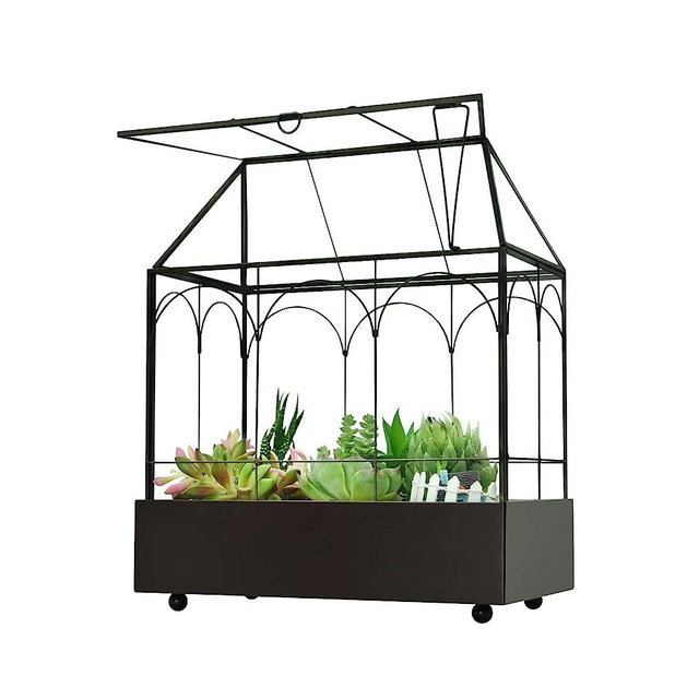 YIMORENCE V Large Tall Glass Plant Terrarium – House Succulent Glass Terrarium Kit with Lip and Tray Glass Greenhouse Terrarium for Plant 9.5”X5.7”X11.4”