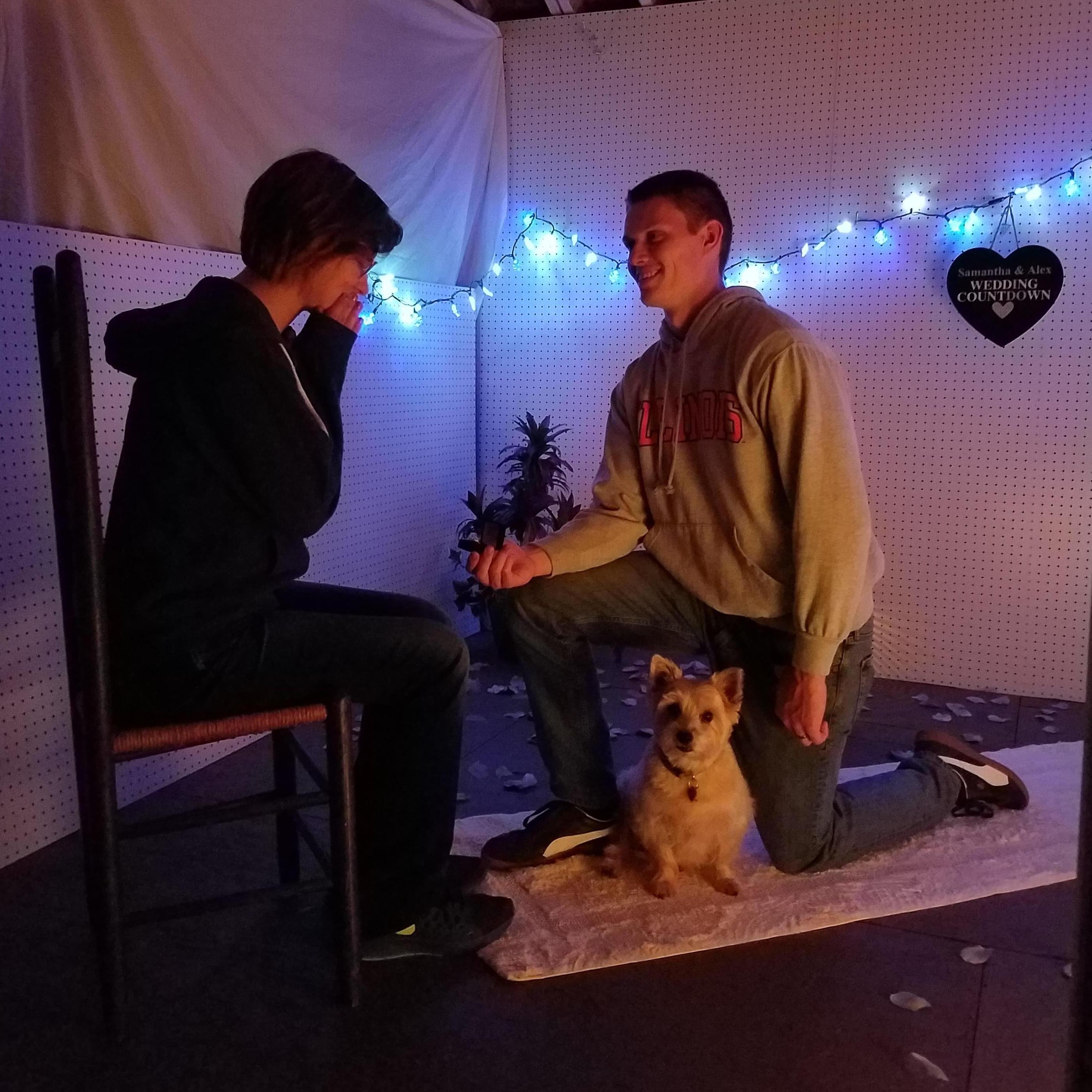 Proposal