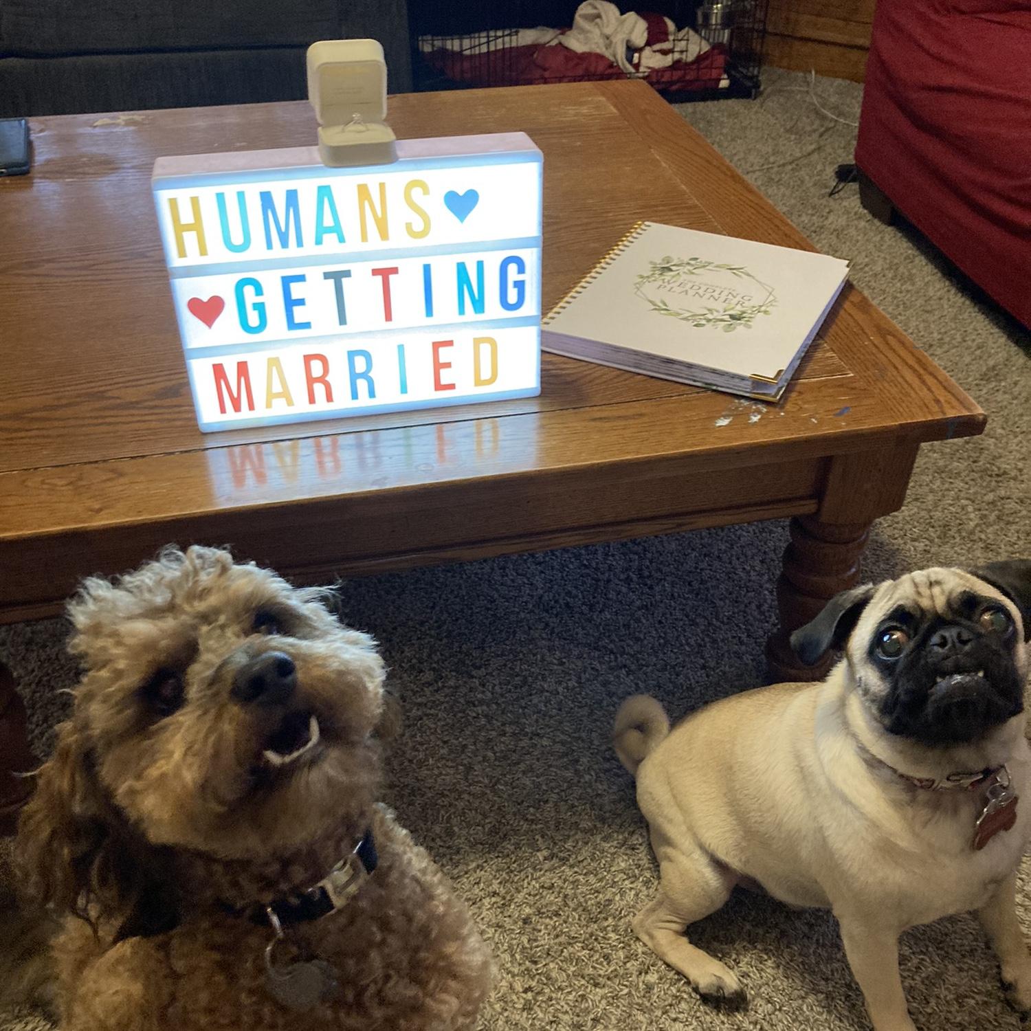 Reuben and Reggie are excited for the news!