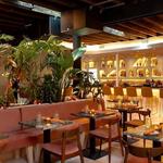 Aaktun Coffee, Restaurant and Bar