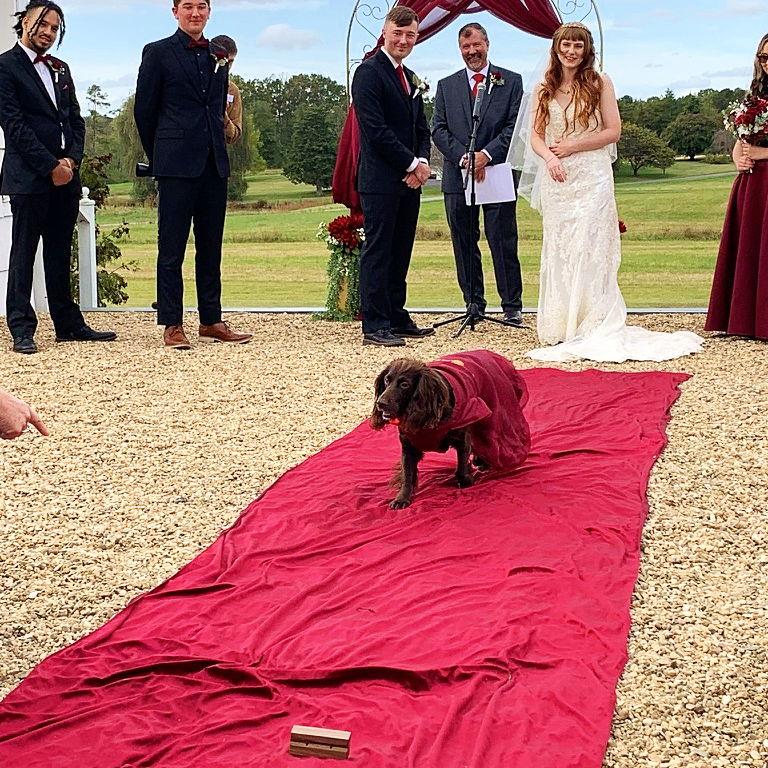 The cutest ring bearer ever!