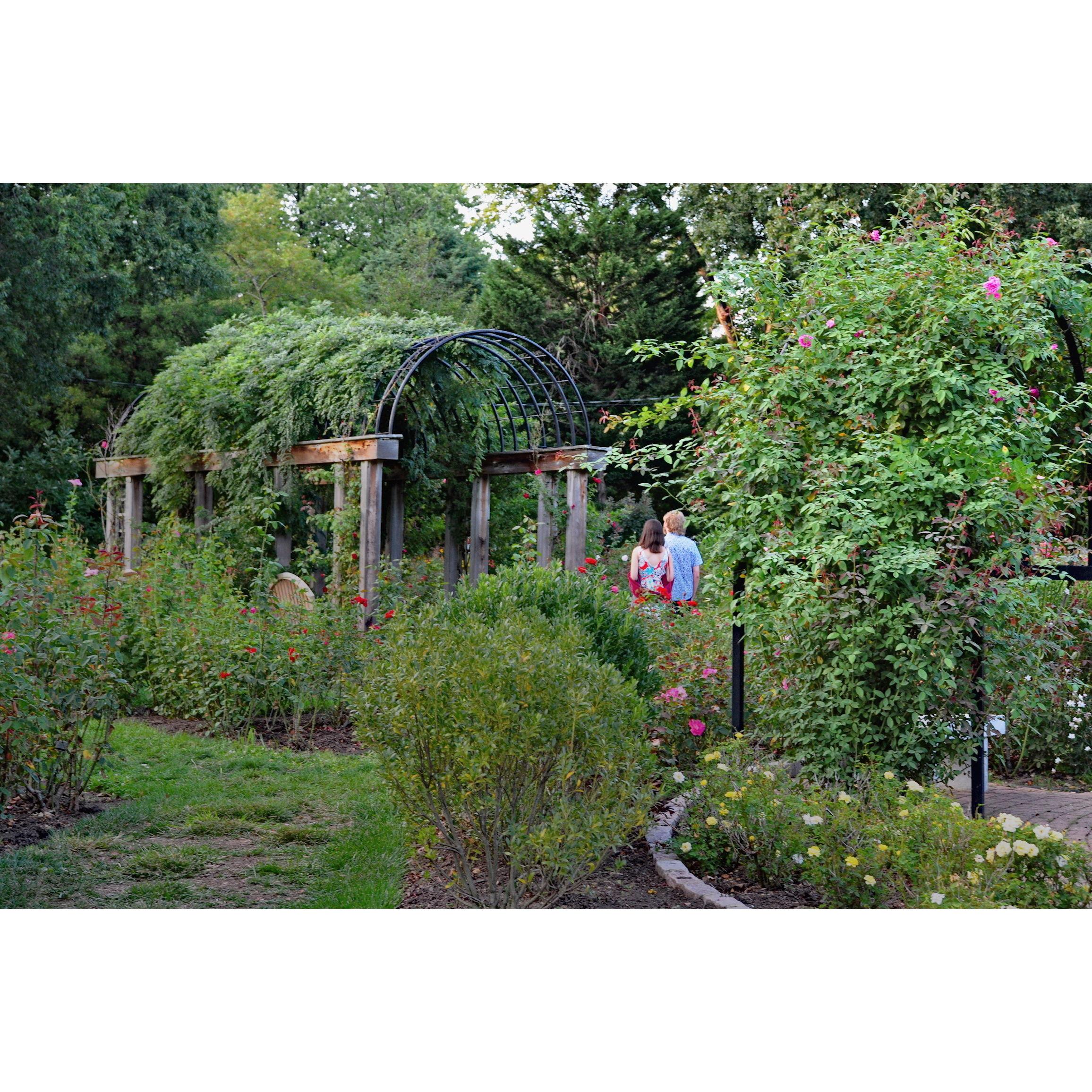 In Summer 2024, Alex planned the perfect proposal in a rose garden near our home in Arlington.