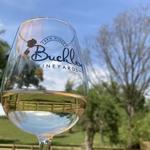 Buckley Vineyards