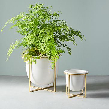 Eden Cross Base Tabletop Planters