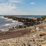 Camp Cronin Fishing Area