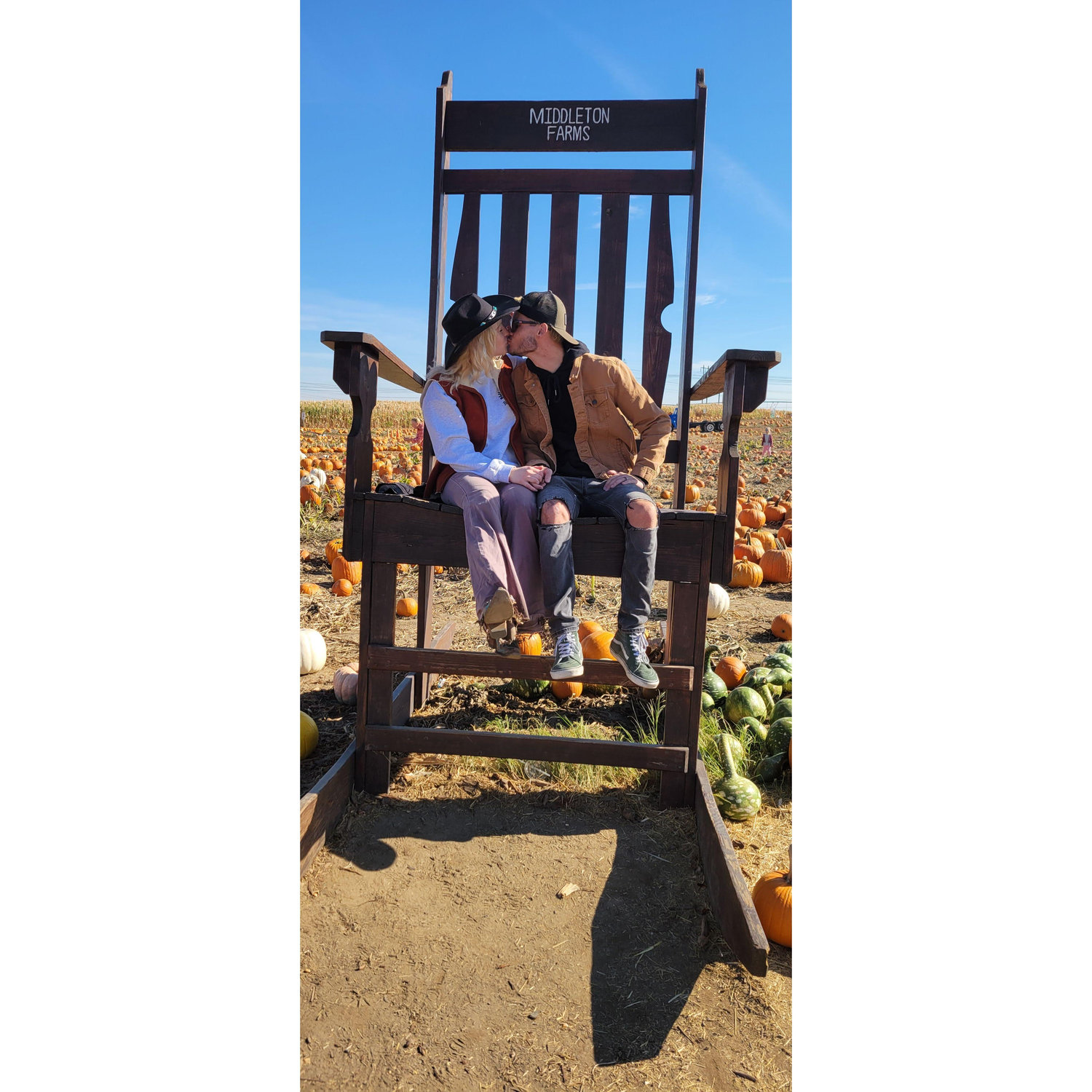 Pumpkin Patch 2024