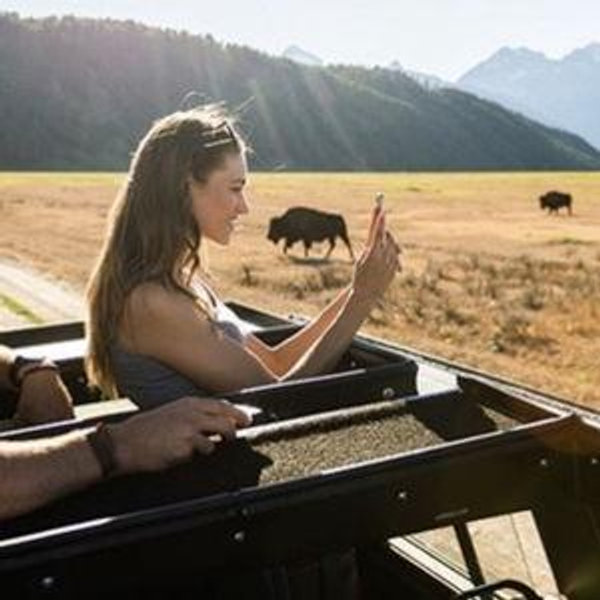 Grand Tetons Wildlife Safari