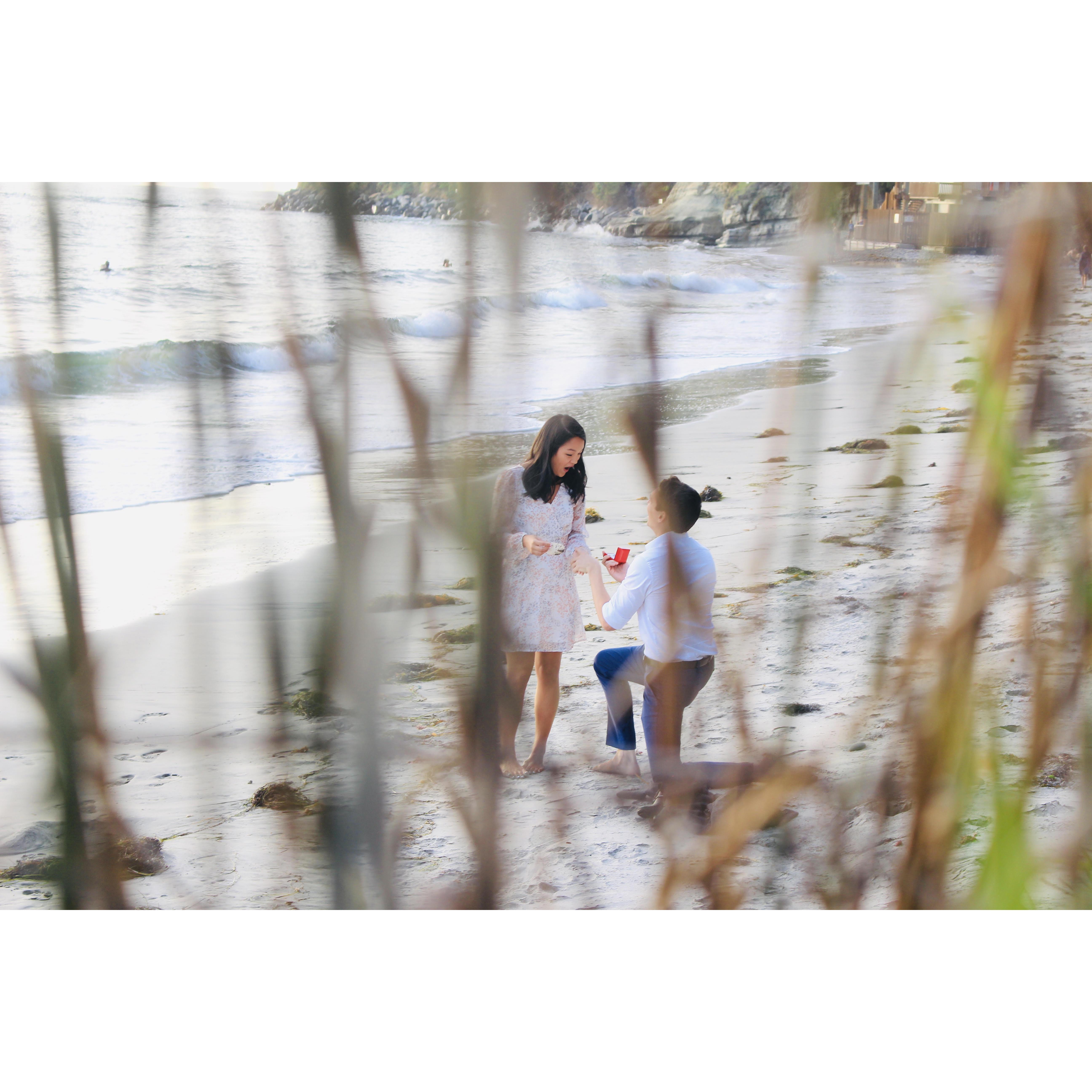 The moment Alex asked :)