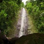 Na Ala Hele: Manoa Falls Trail