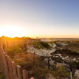 Cape Henlopen State Park