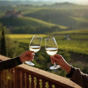 Wine Tasting Tour