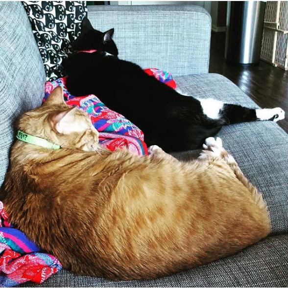 The "kids" doing what they do best