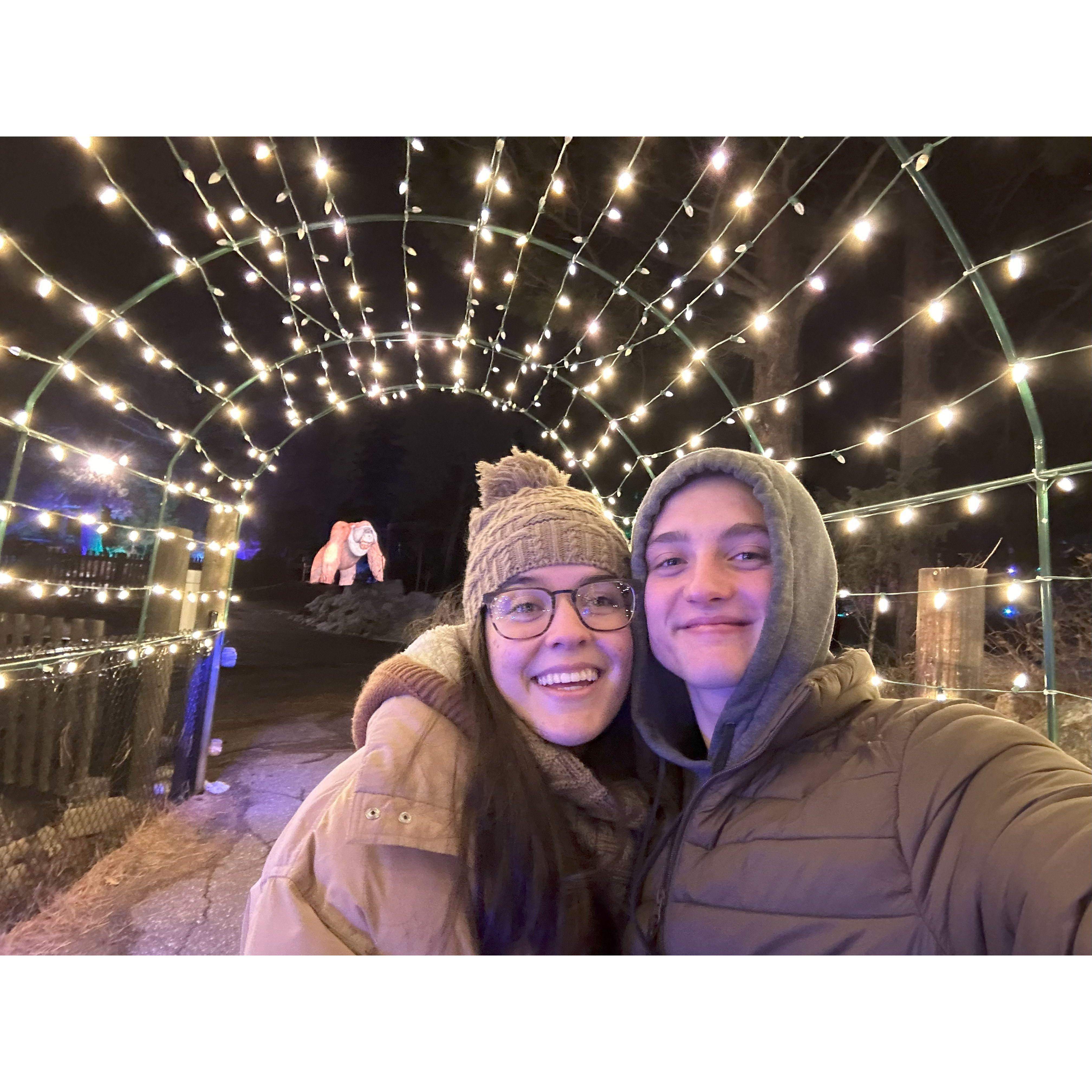 A cold zoo date to see the Christmas lights