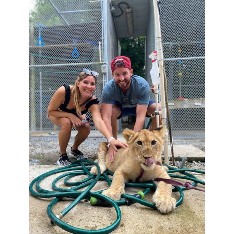 Our first lion encounter!