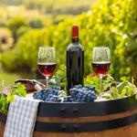 Wineries, Wineries & More Wineries