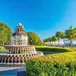 Pineapple Fountain