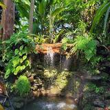 Fairchild Tropical Botanic Garden