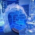 Minus 5 ice bar inside the Venetian