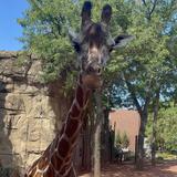 Lincoln Park Zoo