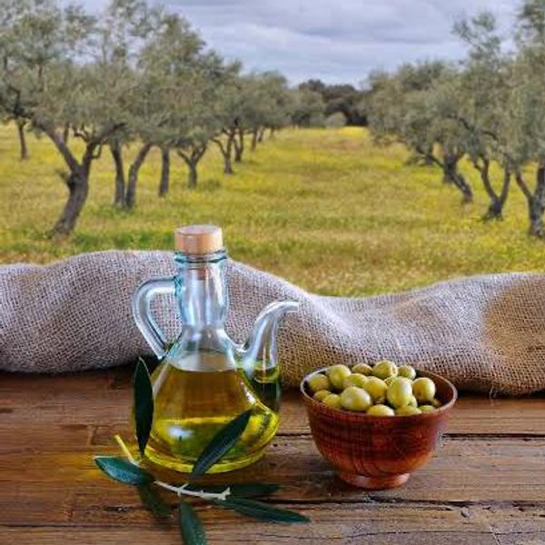 Olive Oil Tasting and Dinner