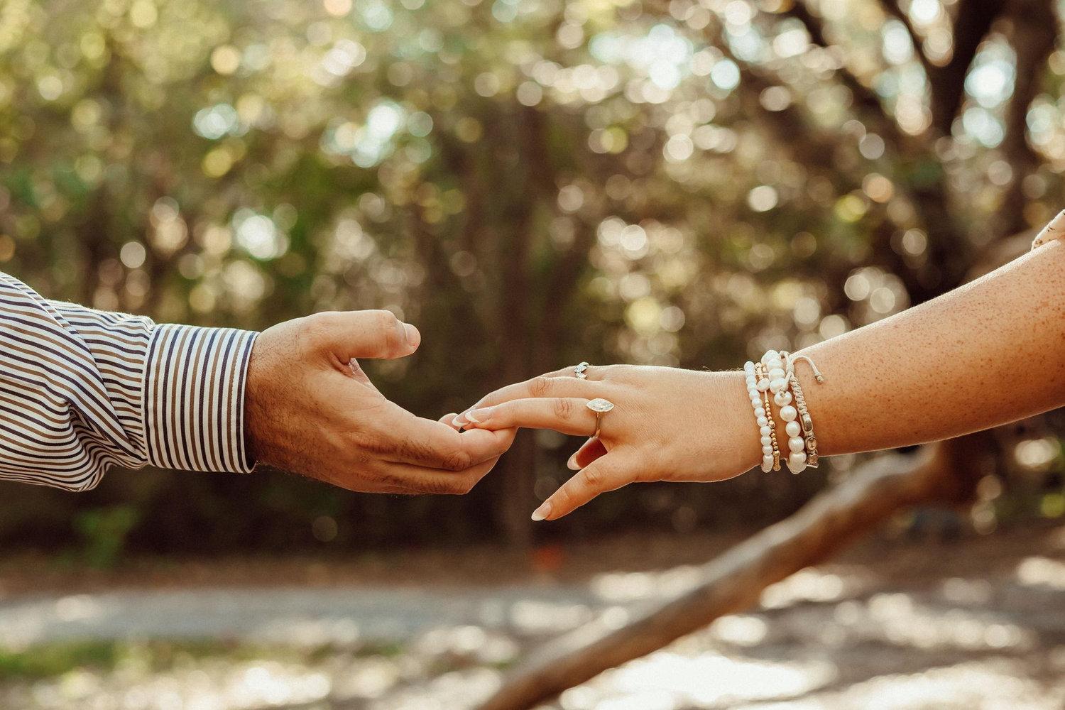 The Wedding Website of Victoria Bovia and Tristyn James