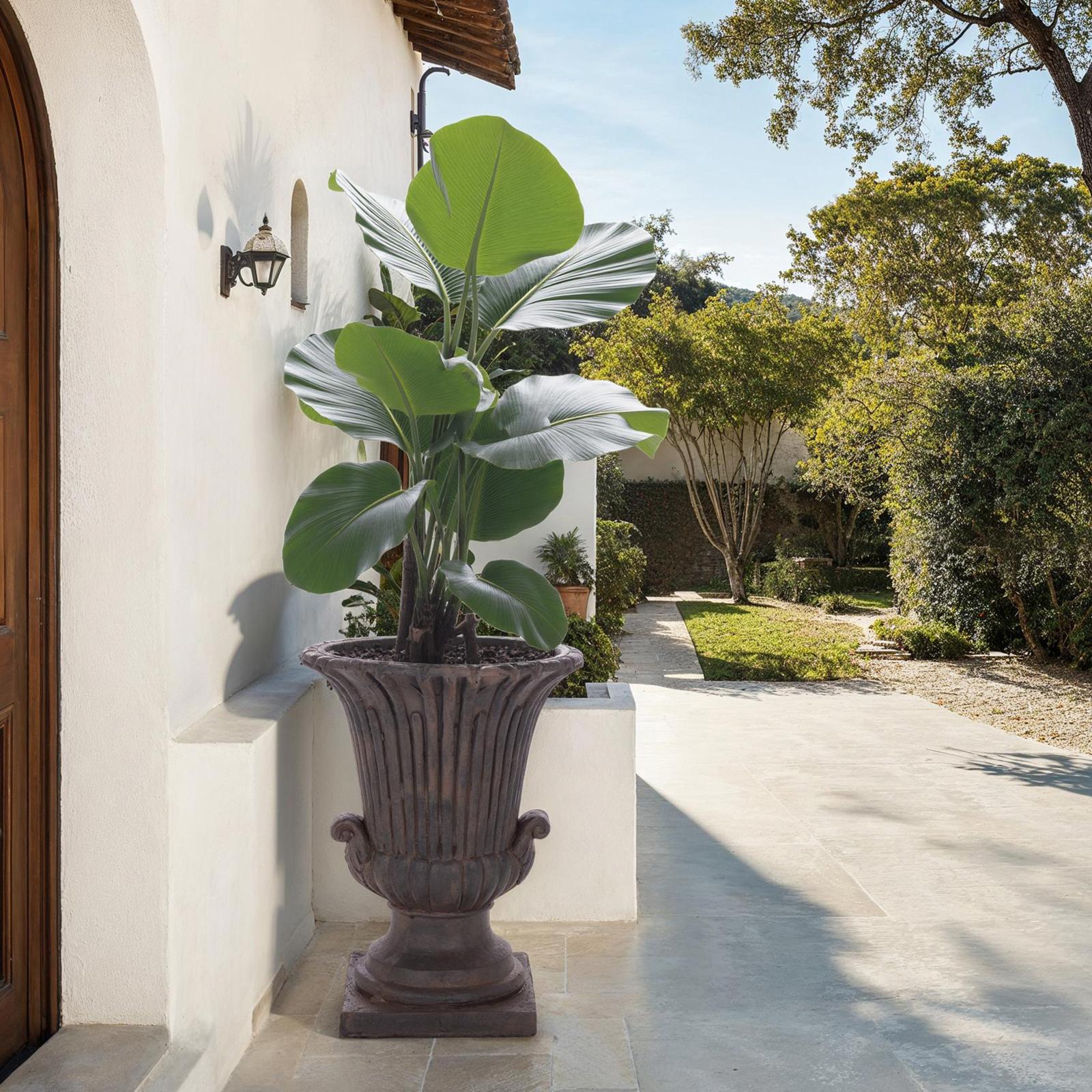 Safavieh, Atlas Planter Pot | Zola