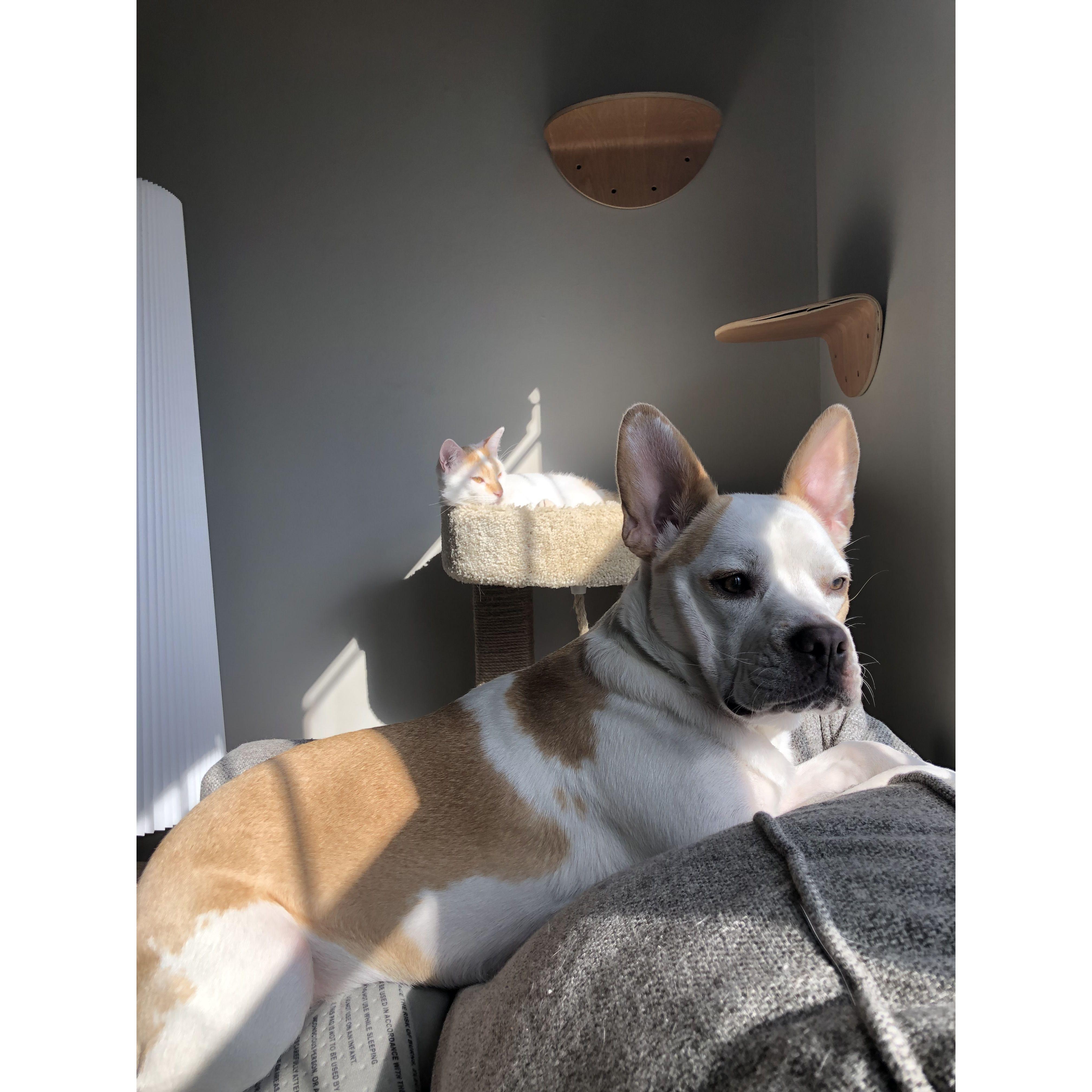 Cora & Niko